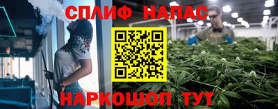 стаф Малгобек