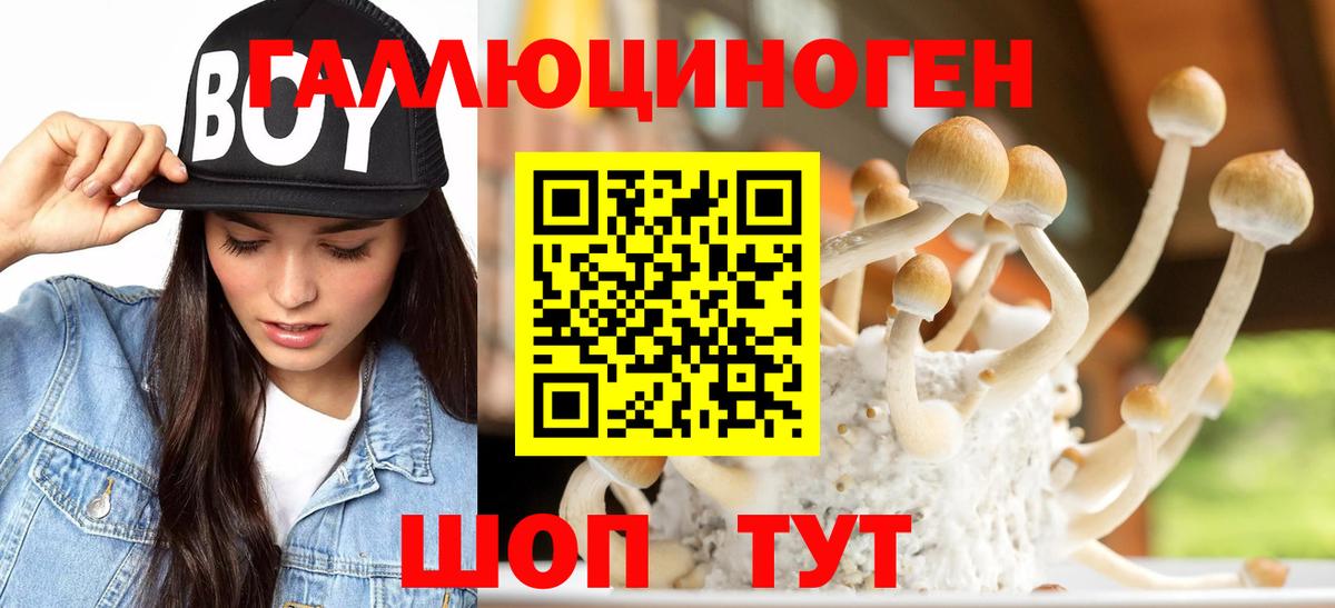 Галлюциногенные грибы ЛСД Тверь